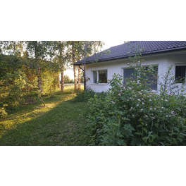 Kohde 10